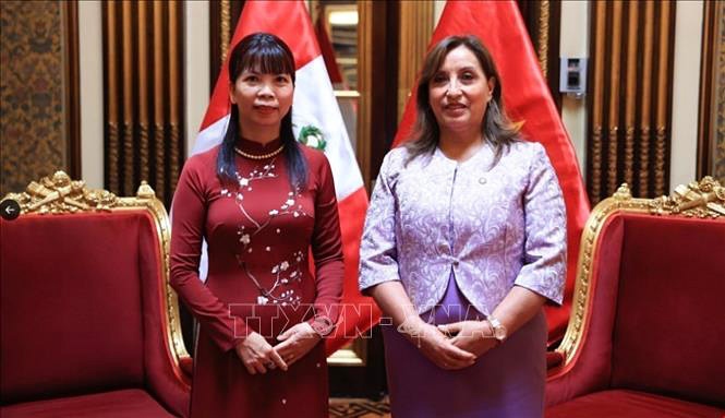 President Dina Boluarte hails Peru - Vietnam relations
